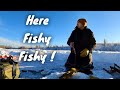 Video Thumbnail for Comparing morning & evening bite ice fishing (stocked trout)