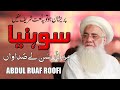 Sohneya Meriya Sun Le Sadawan Wonderful Punjabi NAAT Sharif Professor Abdur Rauf Roof Best Naats