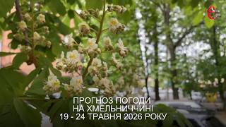 Погода на тиждень: що прогнозують синоптики