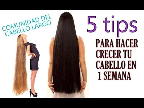 , title : '5 tips para hacer crecer tu cabello en 1 semana'