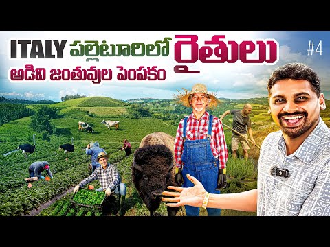 Daily Life Village Farming In Italy 🇮🇹 | Africa Animals | Uma Telugu Traveller