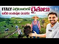 Daily Life Village Farming In Italy Africa Animals Uma Telugu Traveller