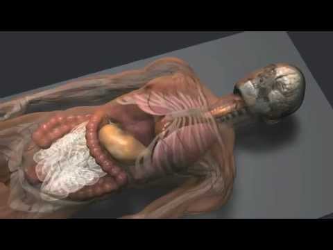 The Mummification Process