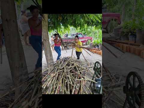 Feitio de Cachaça. SENAR, Teresina de Goiás, início de 2026.