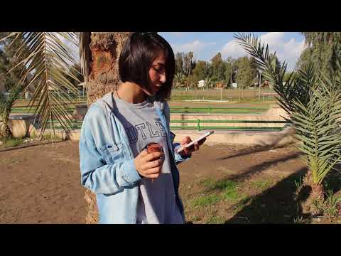 ICE by Jumana Ridha - impressions