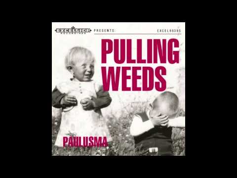 Paulusma - Mornin' Coffee