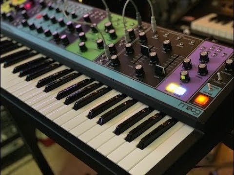 Moog Matriarch - 15 Minutes of Analog Synth experimentation (No talking)