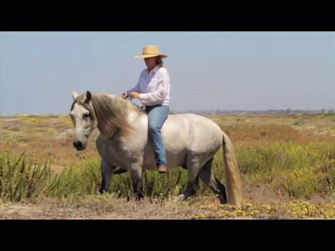 Panadero's First Beach Adventure