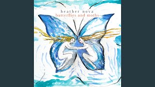 Butterflies and Moths