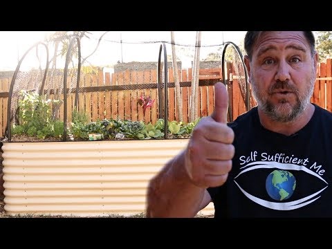 How to Build a Raised Garden Bed | Growing Food in Small Spaces S1 E1 Video