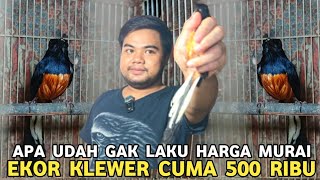 Download lagu BUSET DAH PADAHAL INI MURAI KELAMIN JANTAN || EKOR KLEWER DIJUAL DR 500 RIBU DI PASAR BURUNG PRAMUKA mp3 Download lagu BUSET DAH PADAHAL INI MURAI KELAMIN JANTAN || EKOR KLEWER DIJUAL DR 500 RIBU DI PASAR BURUNG PRAMUKA mp3