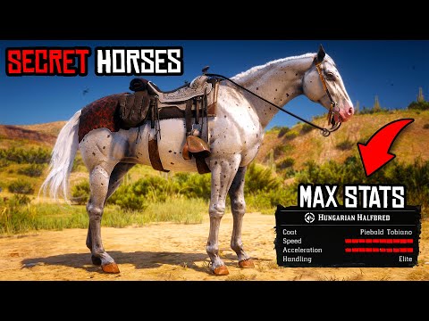 5 Rare Horses You NEED to Find in RDR2