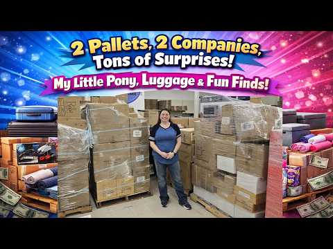 2 Pallets, 2 Companies, Tons of Surprises! My Little Pony, Luggage & Fun Finds!