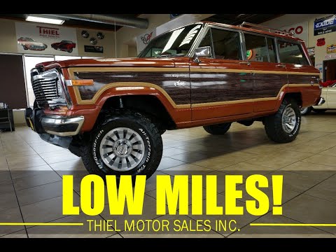 1981 AMC Wagon (CC-2001055) for sale in De Witt, Iowa