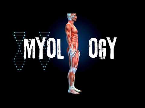 myology