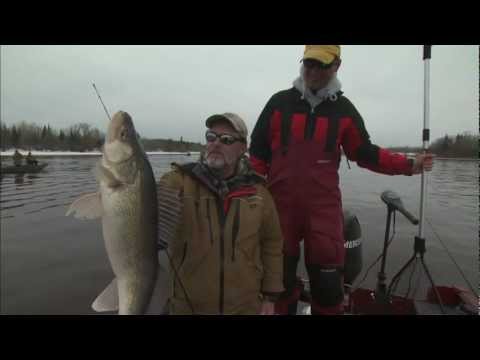 Three Way Rig Crankbait selection for Cold Water Walleye
