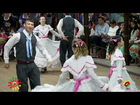 Tatu de Castanhola  Invernada Mirim do CTG Erva Mate no XXVII FESTMIRIM em Santa Maria-RS 18/08/23.