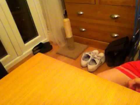 Inception amazing magic trick