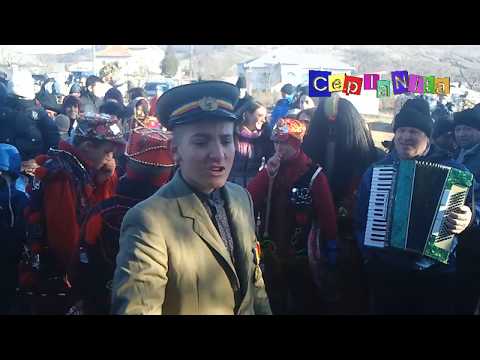 Plugul de la BUHALNITA ~ Comuna CEPLENITA - 31 decembrie 2015