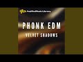 Velvet Shadows (Phonk EDM)