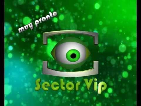 SECTOR VIP Avance 2013