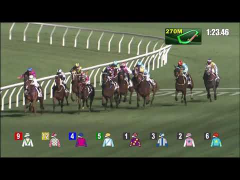 17/2/2021 (438) Villa Fionn - A Hamelin