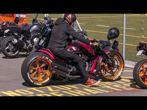 Harley-Davidson V-Rod Custom