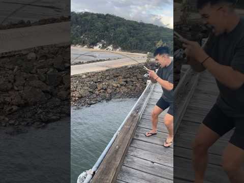 Smack a BIG Bream Fraser Island 🤣 #fishing #bream #fraserisland #kingfisherbay