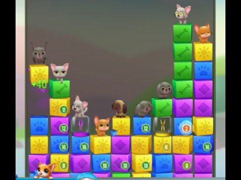 Pet Rescue Saga Level 6186 no boosters