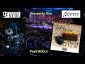 Wonderful One (Cover) - Paul Wilbur