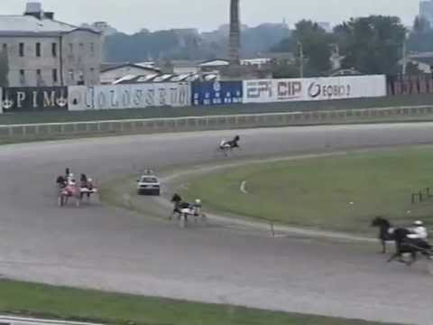 Allyhills Hico i Veljko Mažić-Cukarica Beograd 1999.07.11.