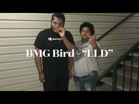 BMG Bird - “LLD” #BMG #Annapolis