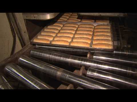 download lagu mp3 mp4 Poppy Seed Dog Buns For Sale, download lagu Poppy Seed Dog Buns For Sale gratis, unduh video klip Poppy Seed Dog Buns For Sale