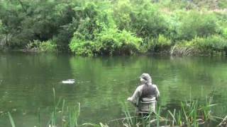 preview picture of video 'Fly fishing in Ter river (Anglés) Spain'
