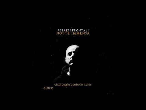 ASSALTI FRONTALI - NEL BARRIO - FEAT. ER TEMPESTA E PIAGA (Video Lyrics Album)