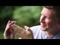 Illegal Pet Trade Help Stop Wildlife Trafficking