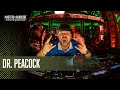 Dr Peacock Masters Of Hardcore 2025 Temple Of Resonance
