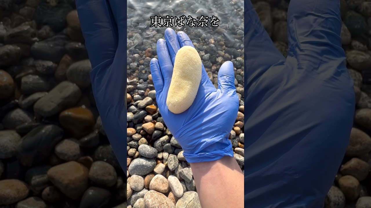 東京ばな奈を握って水中に手を入れた結果www #shorts