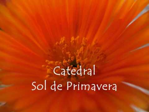 Sol De Primavera video