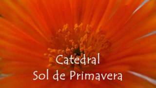 Catedral - Sol de Primavera
