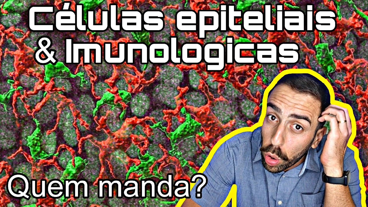 Conheça as células da pele e como elas funcionam!