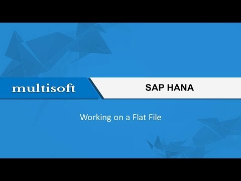 Sample Video for SAP HANA Working on a Flat File 
