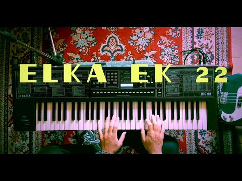 Elka EK 22 RARE + New Blu display + Ram 22 cartridge + Case (SERVICED) image 21