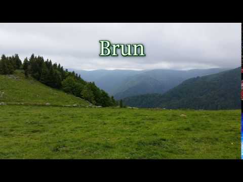 How to pronounce brun in French