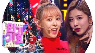 Cherry Bullet(체리블렛) - Q&amp;A @인기가요 Inkigayo 20190303