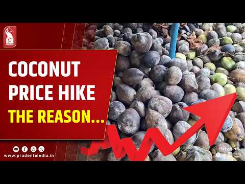 The Curious Case of Goa’s Rising Coconut Prices