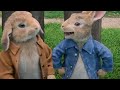 Peter Rabbit Movie Urdu Dubbing