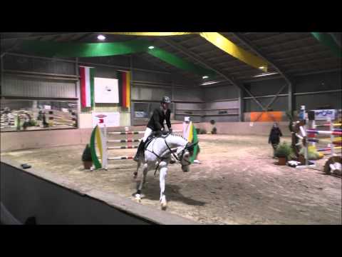 Stute *2007 Cristallo I x Argentinus S*-Springen März 2015