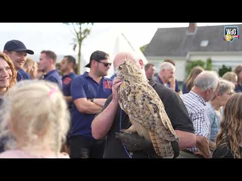 Kinjerkermis KVW Stramproy