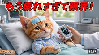 【インフル感染】ここにゃん大ピンチ！😱🤒外食の翌日に体調悪化…頑張る姿に涙😭💊